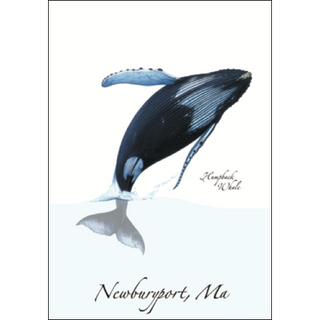 Humpback Breach image 0