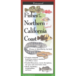 Fishes of the Northern & Central California Coast image 0