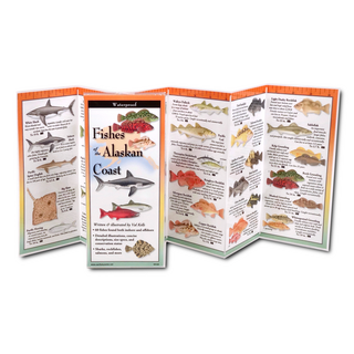 Fishes of the Alaskan Coast image 1