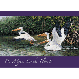 White Pelican image 0