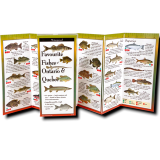 Favourite Fishes of Ontario & Quebec image 1