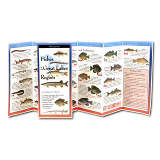 Fishes of the Great Lakes Region image 1