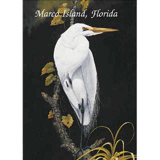 Great Egret image 0