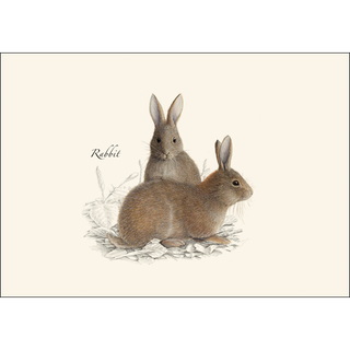 Rabbit & Hare Assortment image 2