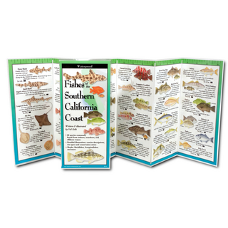 Fishes of the Southern California Coast image 1