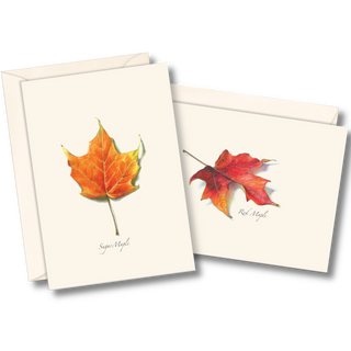 Maple Leaf Assortment II image 0