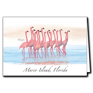 Flamingoes image 0