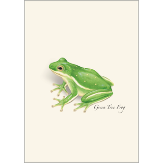 Frog & Toad Assortment image 2