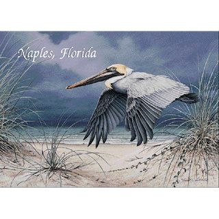 Racing The Storm image 0