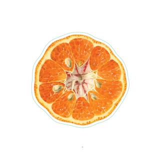 Tangerine image 1