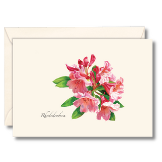Rhododendron image 0