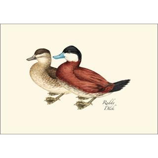 Duck Assortment image 3