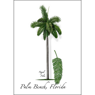 Royal Palm image 0