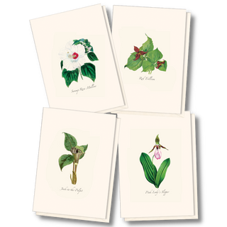 Woodland Wildflower Assortment image 0