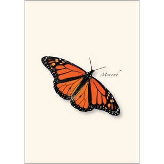 Western Butterfly Assortment II image 2