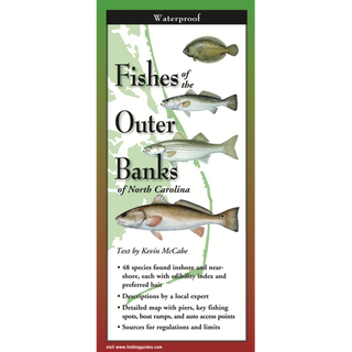 Fishes of the Outer Banks of North Carolina image 0