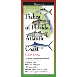 Fishes of Florida's Atlantic Coast image 0