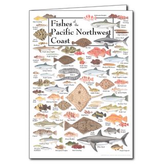 Fishes of the Pacific Northwest Coast - Poster Card image 0