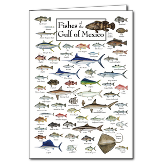 Fishes of the Gulf of Mexico - Poster Card image 0