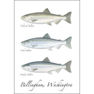 Salmon Trio image 0