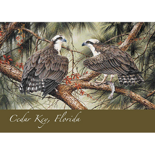 Fisherman Lair image 0