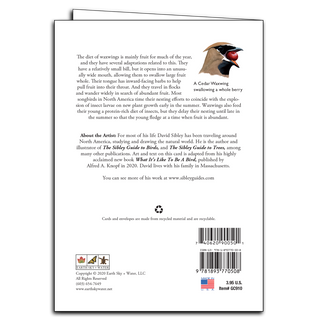 Sibley's Cedar Waxwings image 1