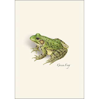 Frog & Toad Assortment image 3