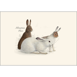 Rabbit & Hare Assortment image 1