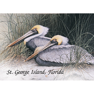 Waiting Out the Weather image 0