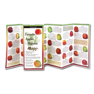 Favorite Apples of the Midwest image 1