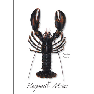 American Lobster I image 0