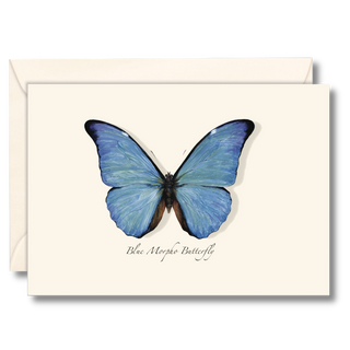 Blue Morpho Butterfly image 0