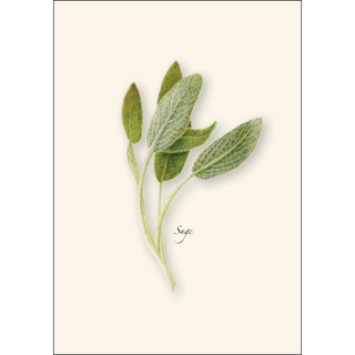 Herb Assortment image 3
