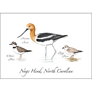 Three Shorebirds image 0