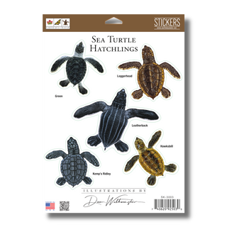 Sea Turtle Hatchlings -NEW- image 1