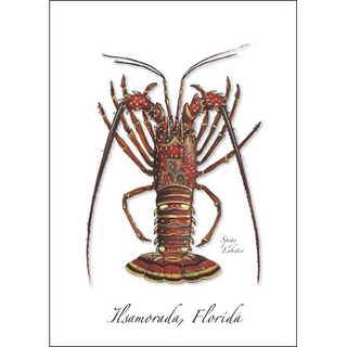 Spiny Lobster I image 0
