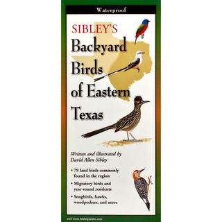 Sibley's Backyard Birds of Eastern Texas image 0