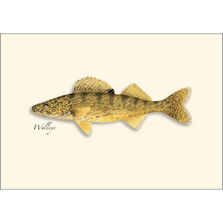 Northern Gamefish Assortment image 4