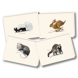 Small Mammal Assortment image 0
