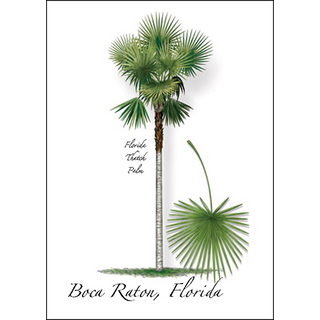 Florida Thatch Palm image 0