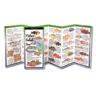 Fishes of the Salish Sea image 1