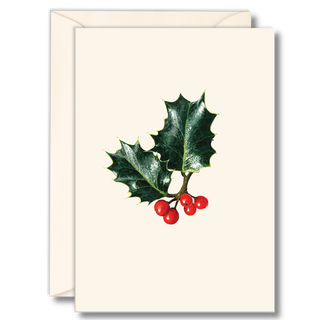 English Holly image 0