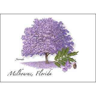 Jacaranda image 0
