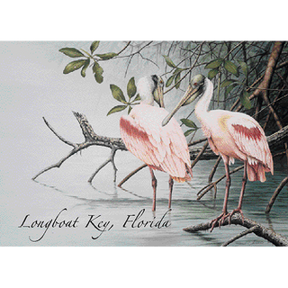Roseate Spoonbills Wading image 0