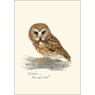 Owl Assortment image 2