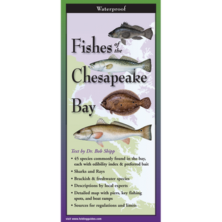 Fishes of the Chesapeake Bay image 0