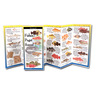 Fishes of Puget Sound image 1