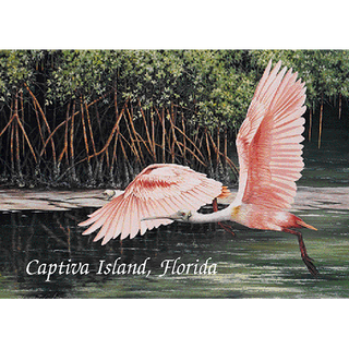 Roseate Spoonbills Flying image 0