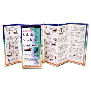 Sibley's Seabirds of the Pacific Coast image 1
