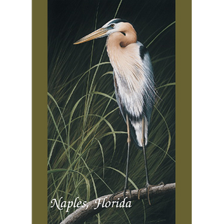 Great Blue Heron image 0